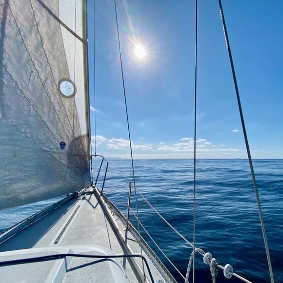 Star & Sea - South Bay, California - Picture 12 of 16